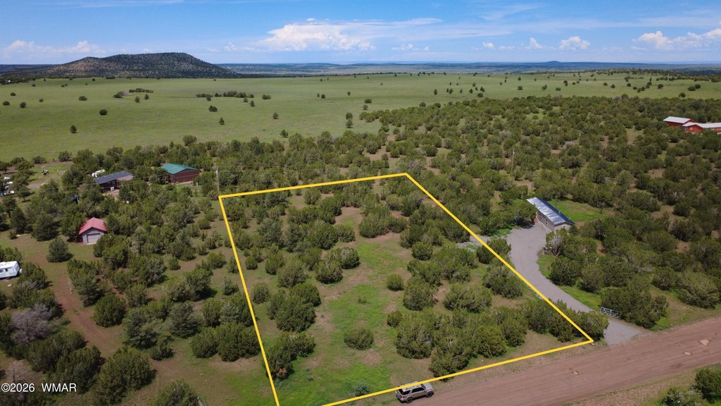 Picture 8