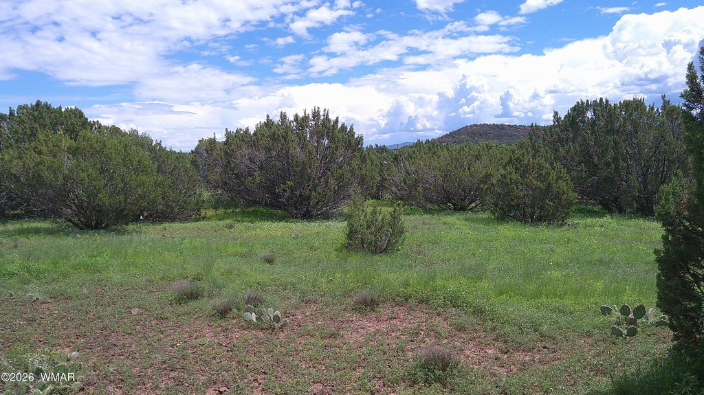 Picture 26