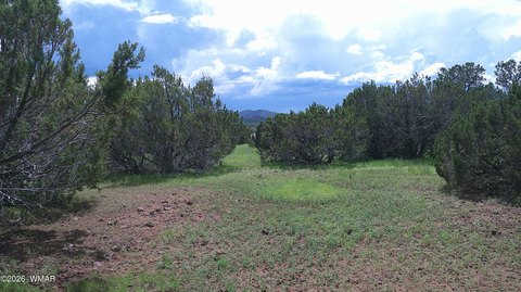 Land, Vernon, AZ