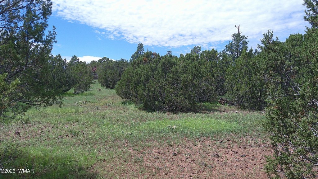 Picture 20