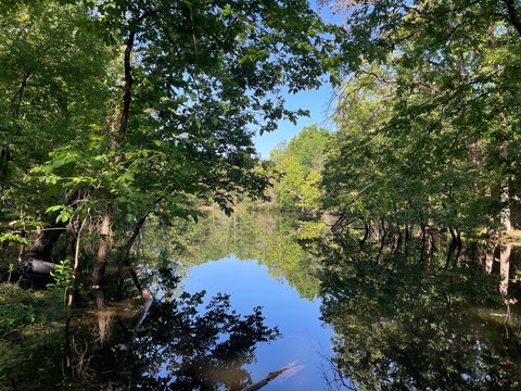 Wooded Hunting Land With Creek