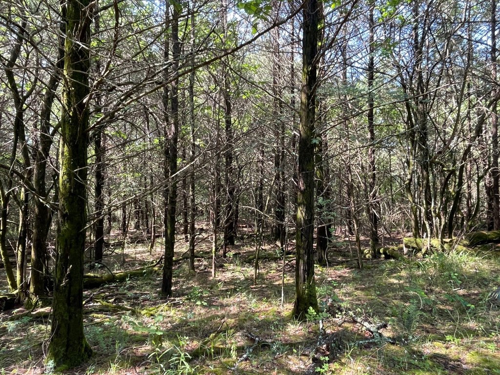 Picture 19