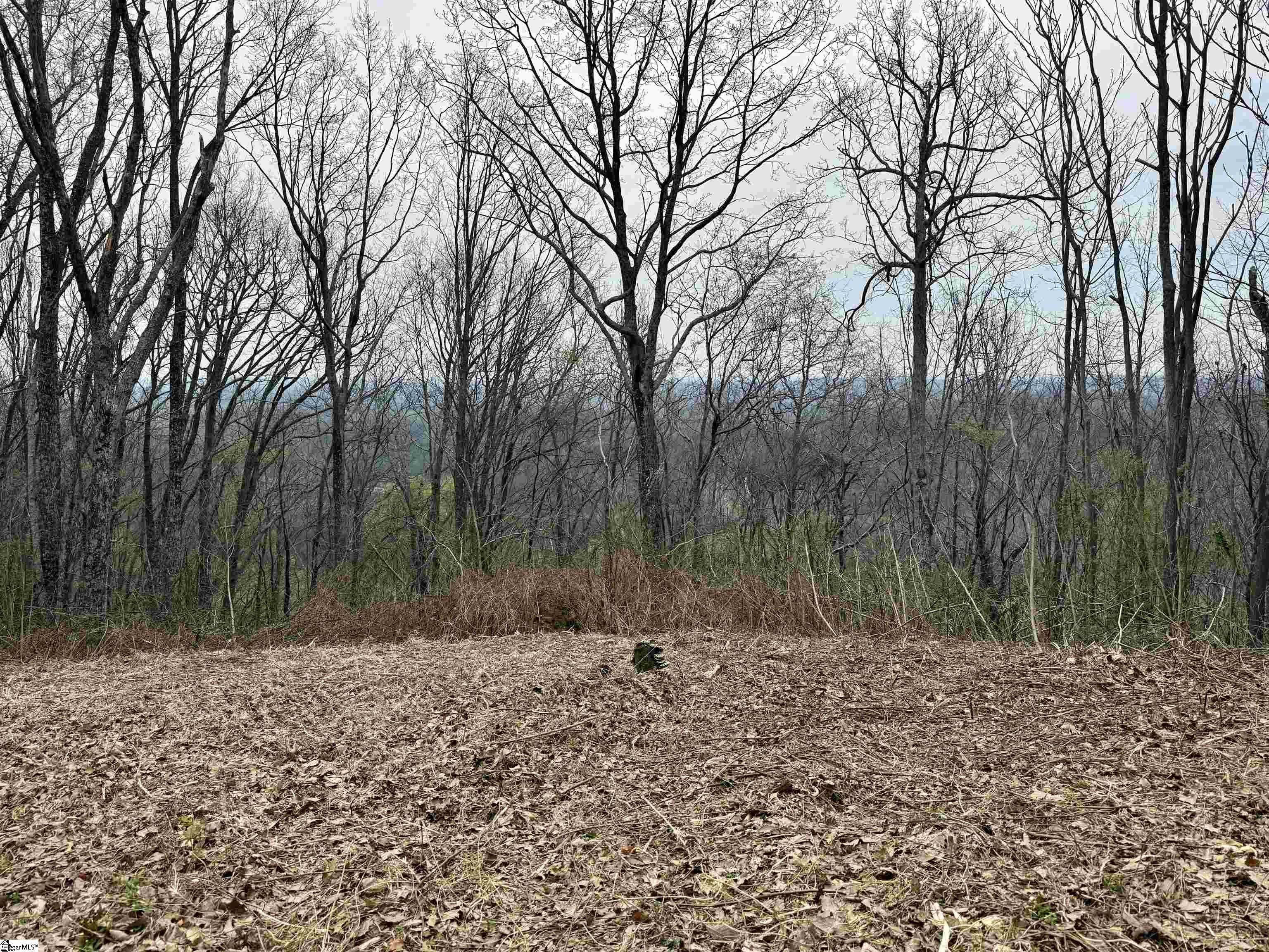 Landrum SC Homesite with Views