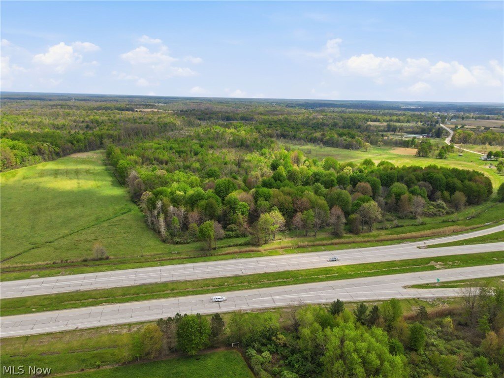 Wooded Land Parcel in Dorset