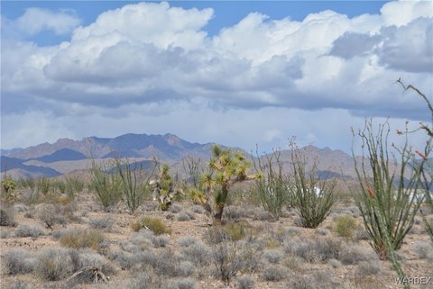 2.35 Acre Yucca Land Parcel