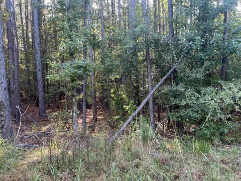 RESIDENTIAL, Amity, AR