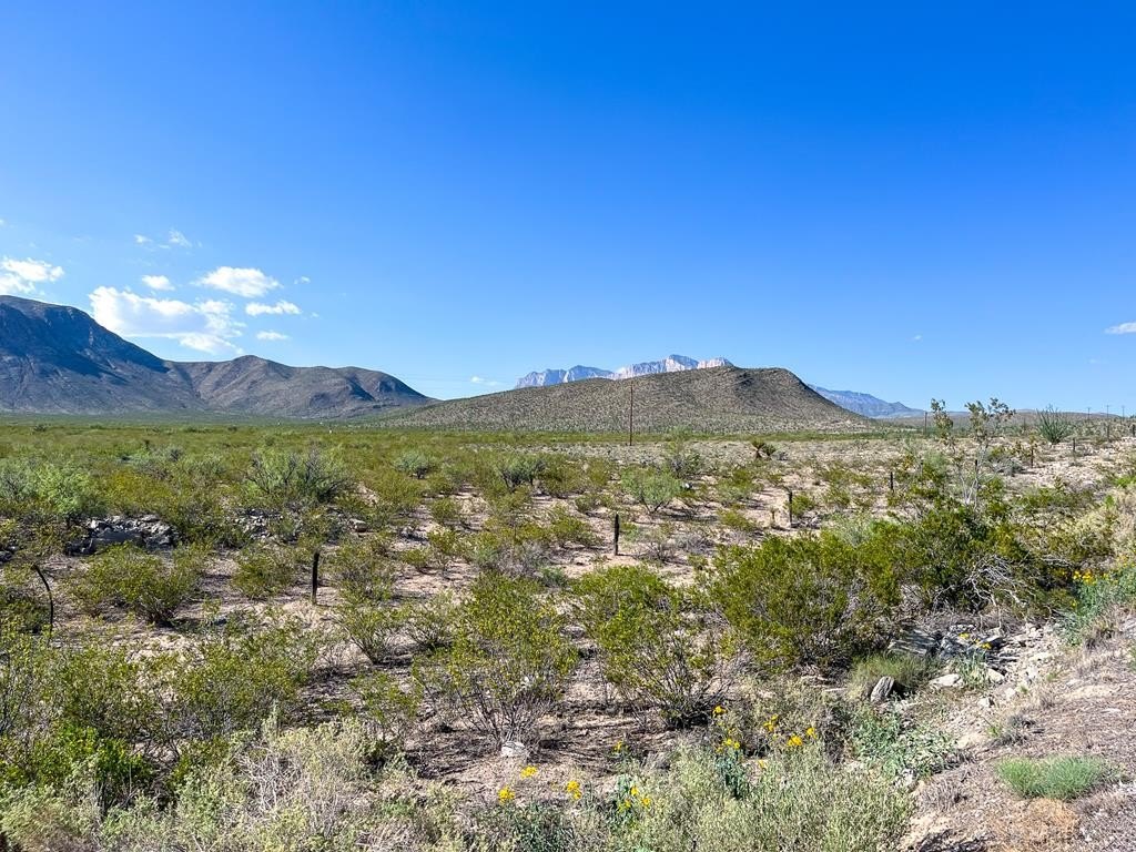 Highway Frontage Land in Van Horn