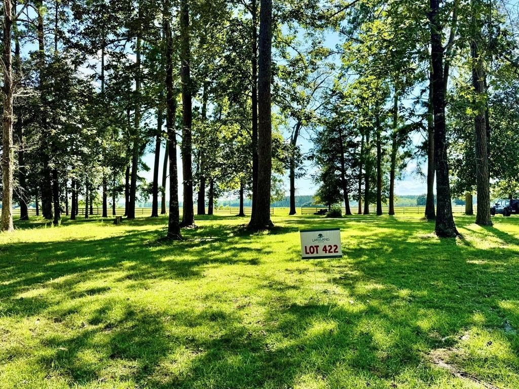 Scenic Land in Lakeland Ranch