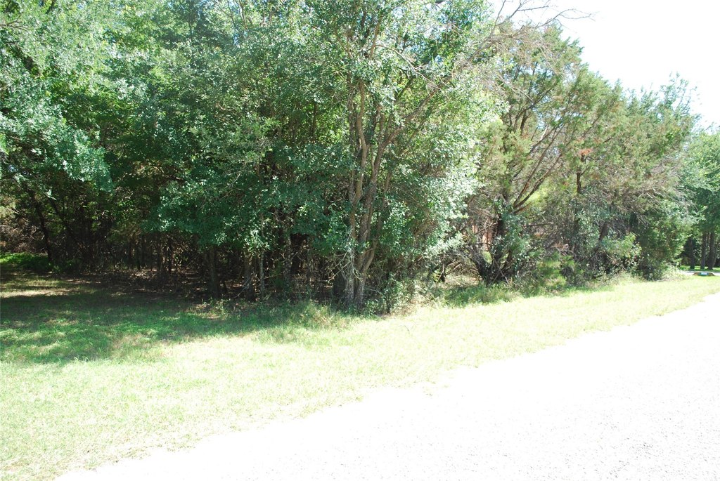 Picture 8