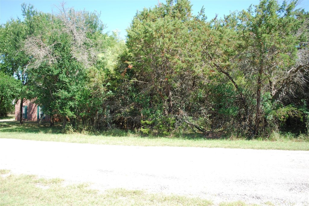 Picture 3