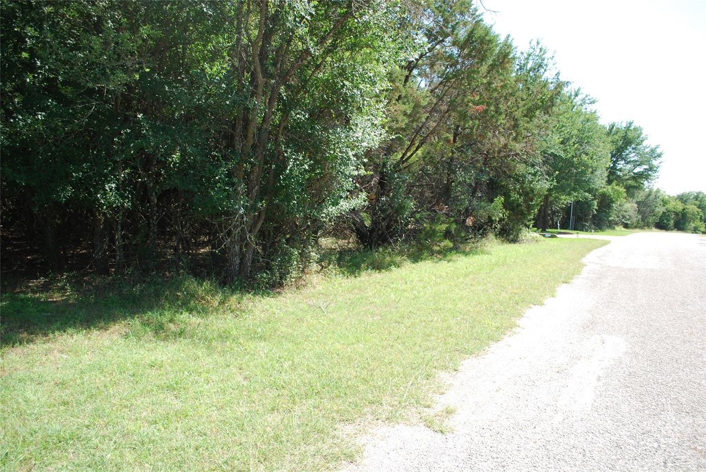Picture 9