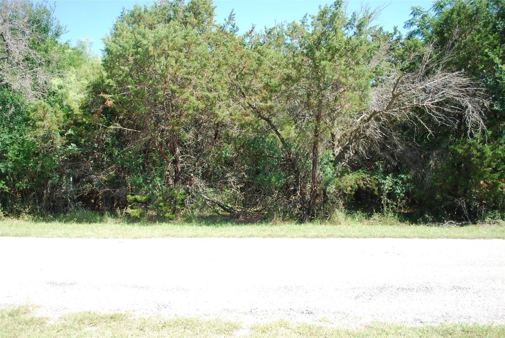 Picture 2