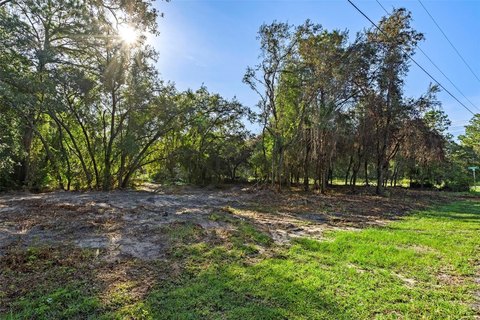 Land, HOMOSASSA, FL