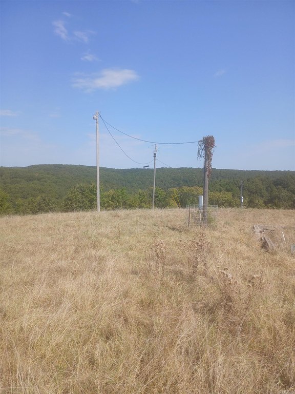 Picture 14
