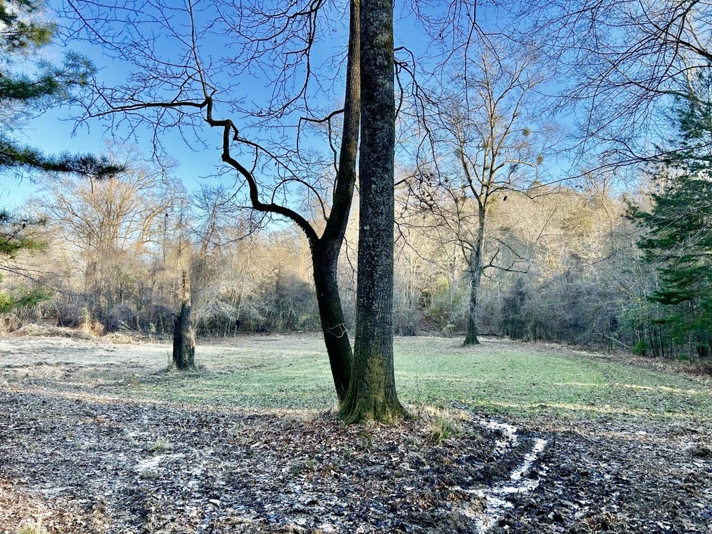 Picture 25