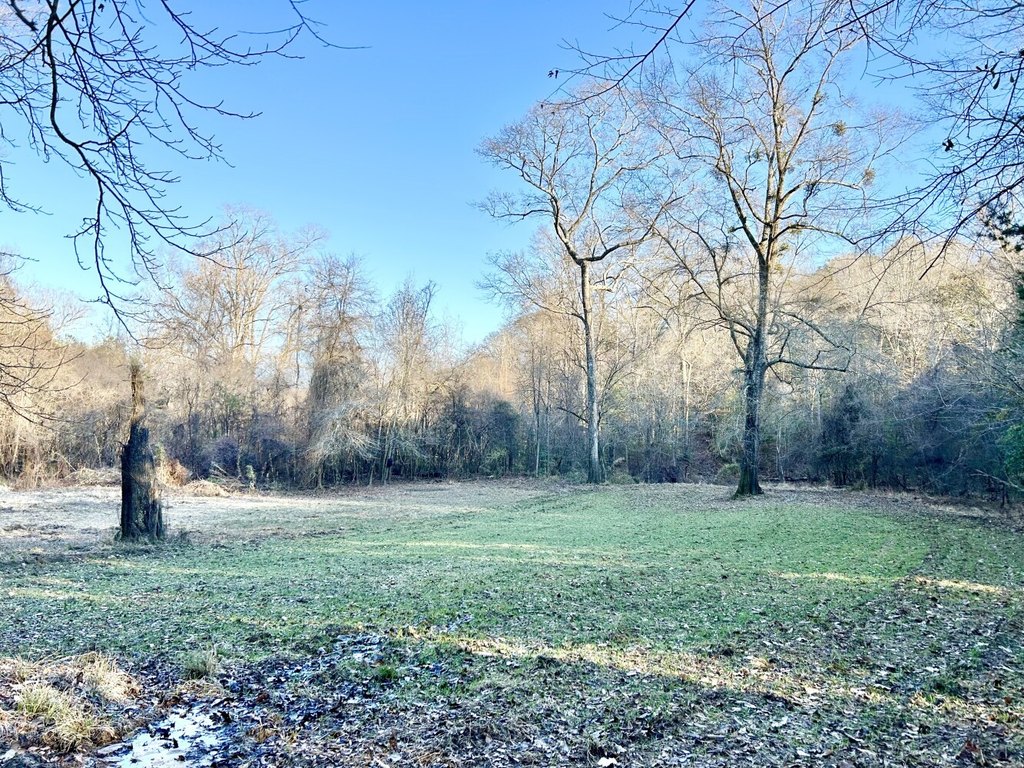 Picture 29