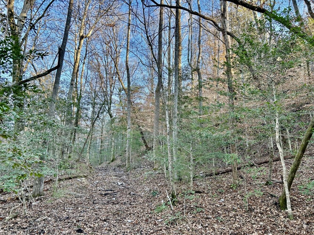Picture 36
