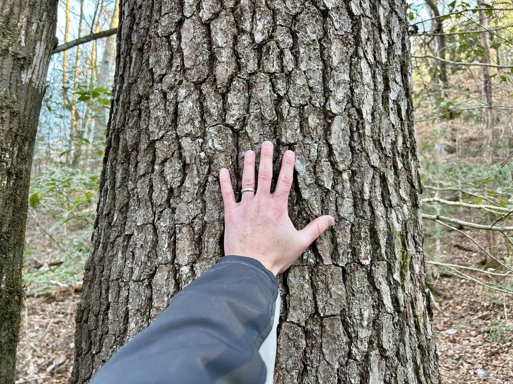 Picture 38
