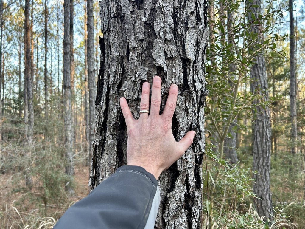 Picture 47
