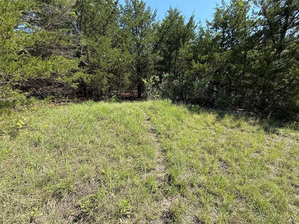 Picture 14