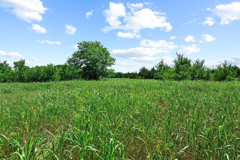 Recreation Land with Ponds