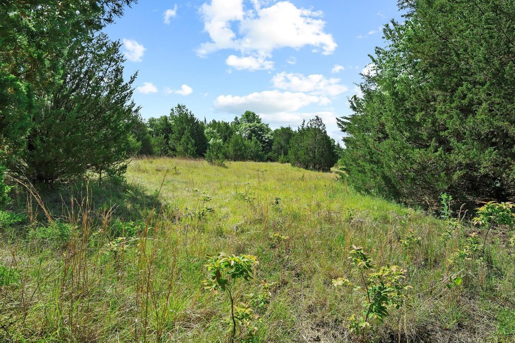 Picture 19