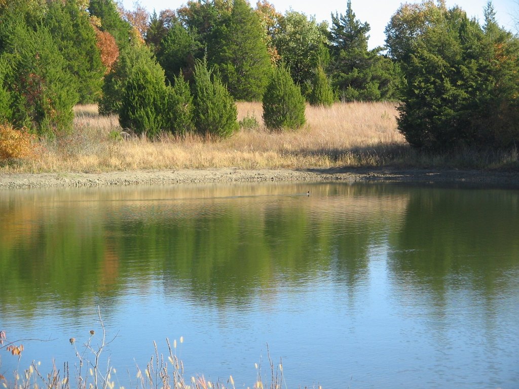 Picture 7