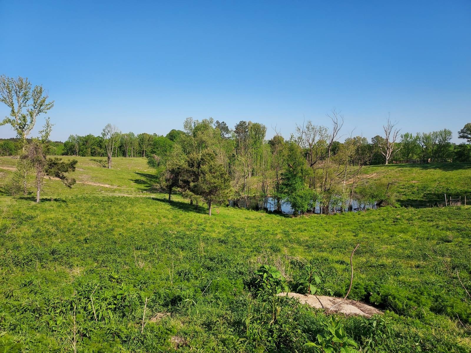 Land with Utilities and Fencing