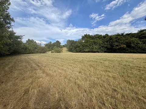 Land, Neosho, MO