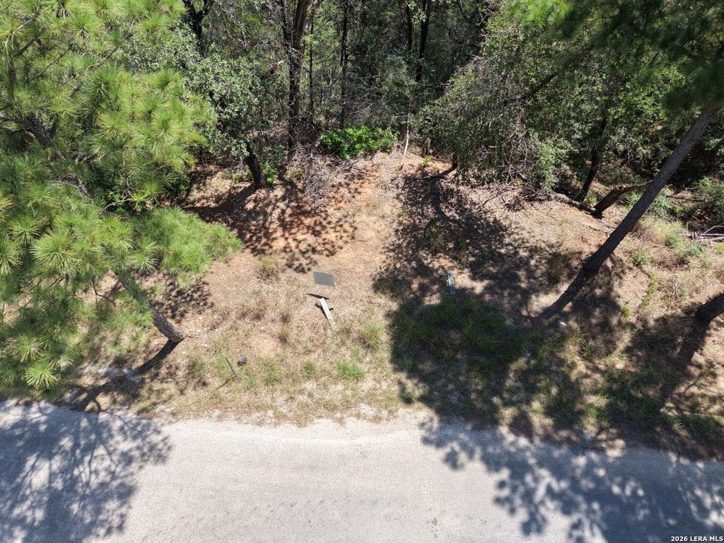 Picture 13