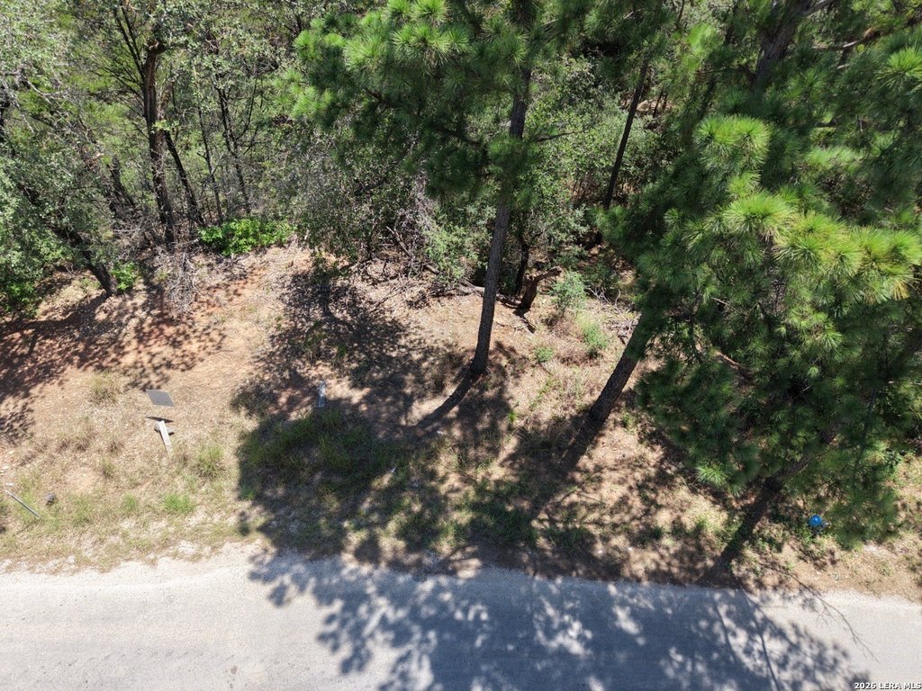Picture 21