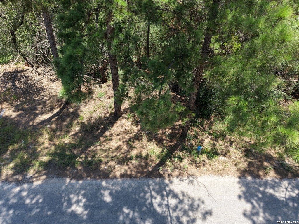 Picture 10