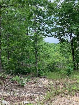 LAND - Fredericktown, MO
