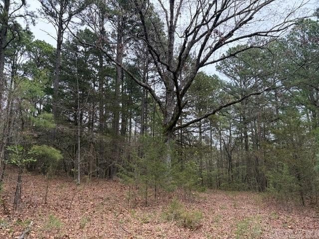 Land with National Forest Access