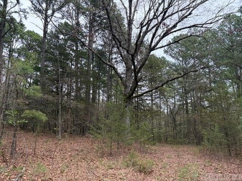 Land with National Forest Access