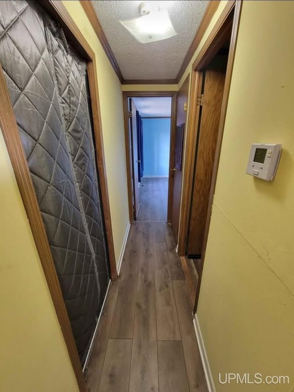 Picture 38
