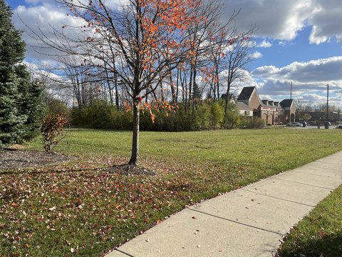 Commercial Land on Haggerty Road
