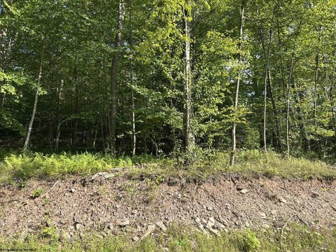 Wooded Hunting Land with Stream