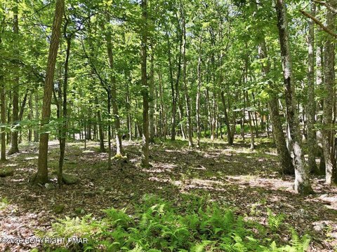 Land, East Stroudsburg, PA