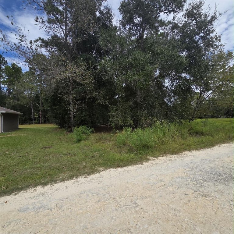 Picture 4