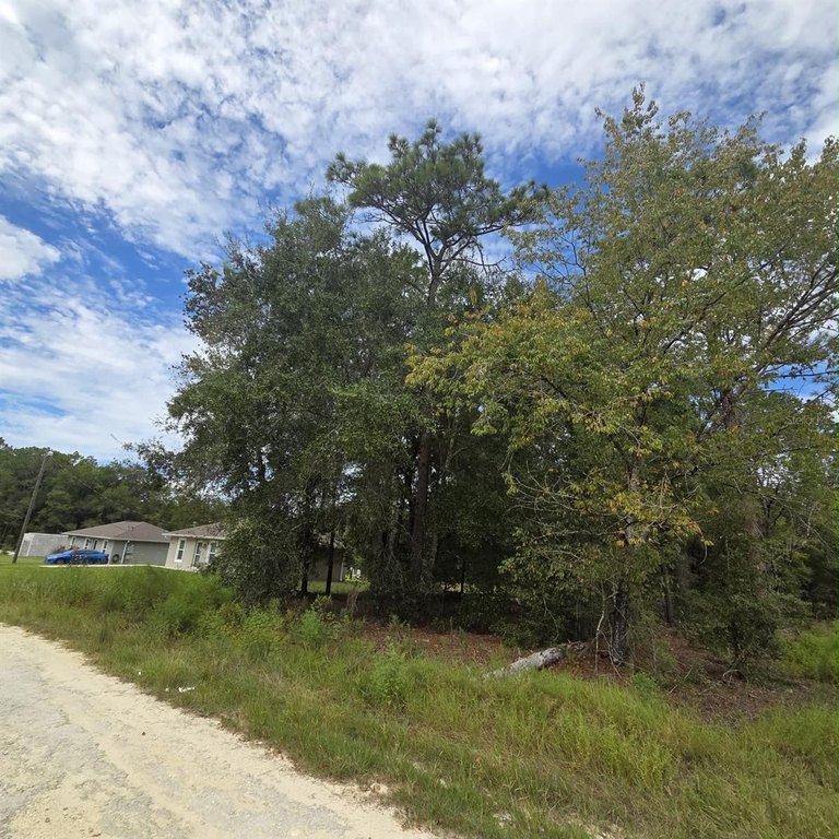 Picture 5