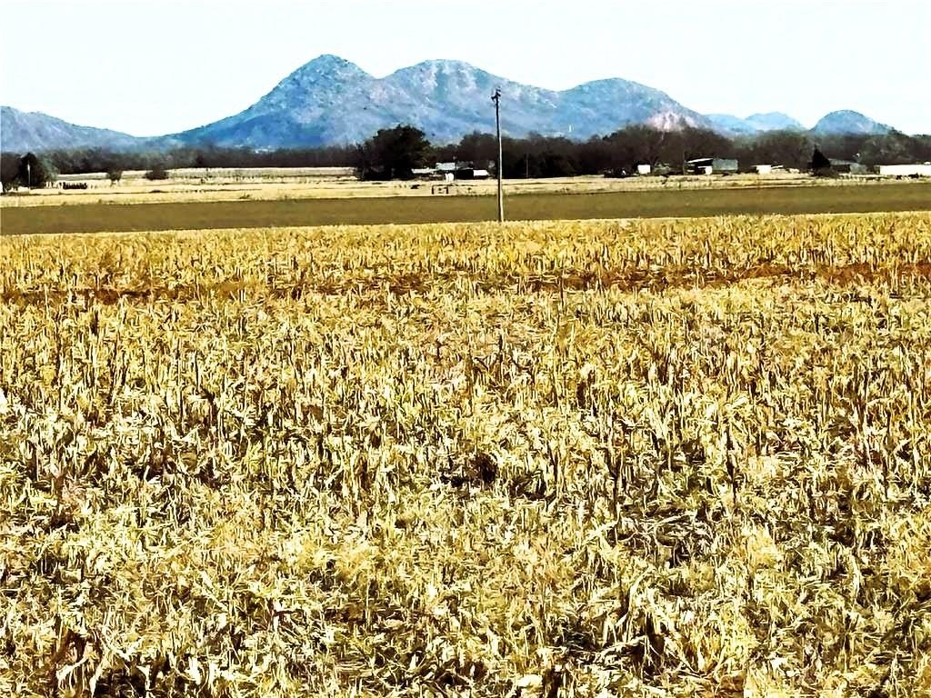 Picture 13
