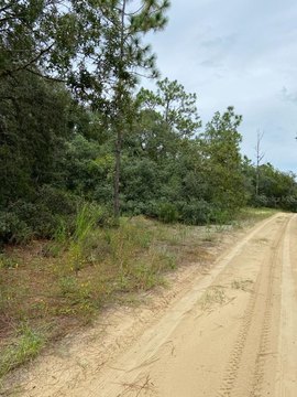 Land, INVERNESS, FL