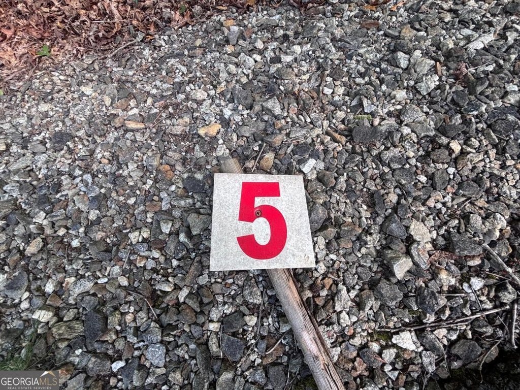 Picture 7