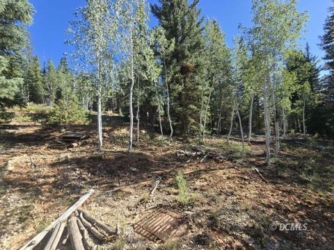 Single Family Lot, Duck Creek Village, UT