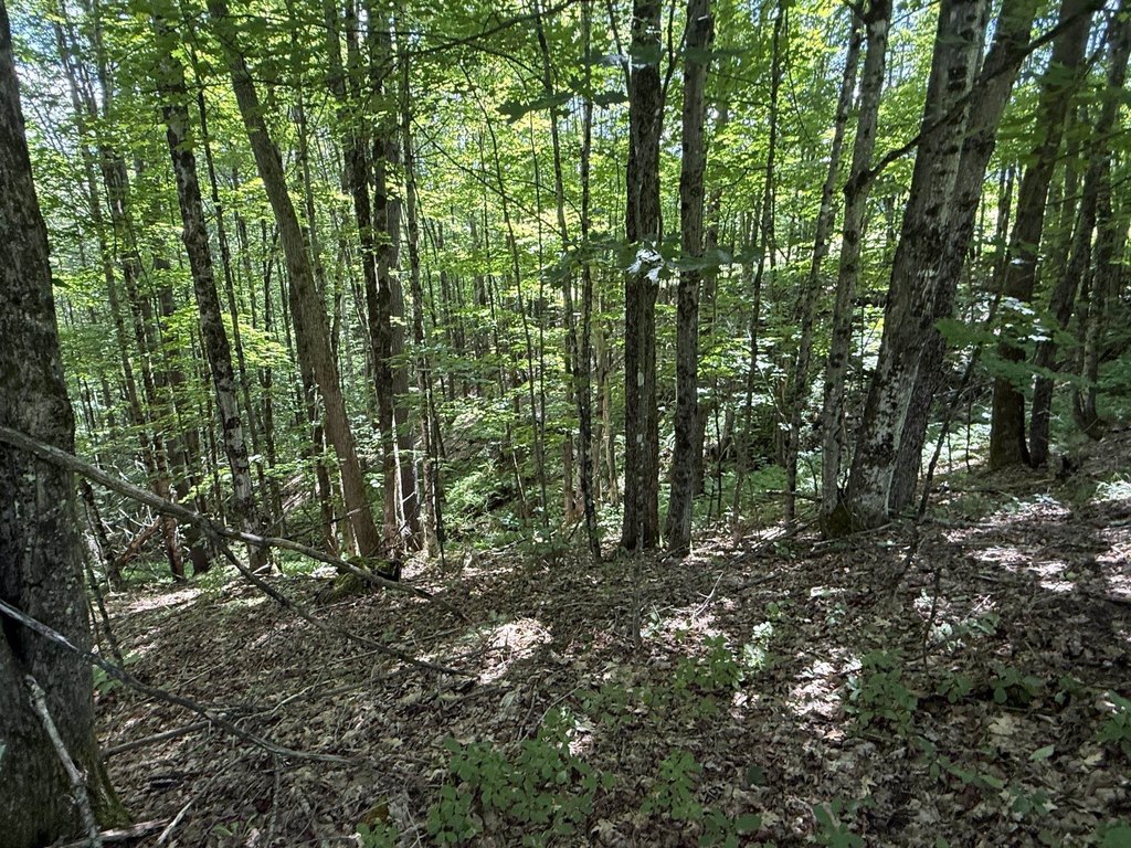 Picture 12