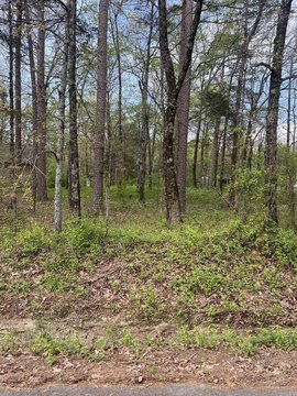 Residential Land in Clinton, AR