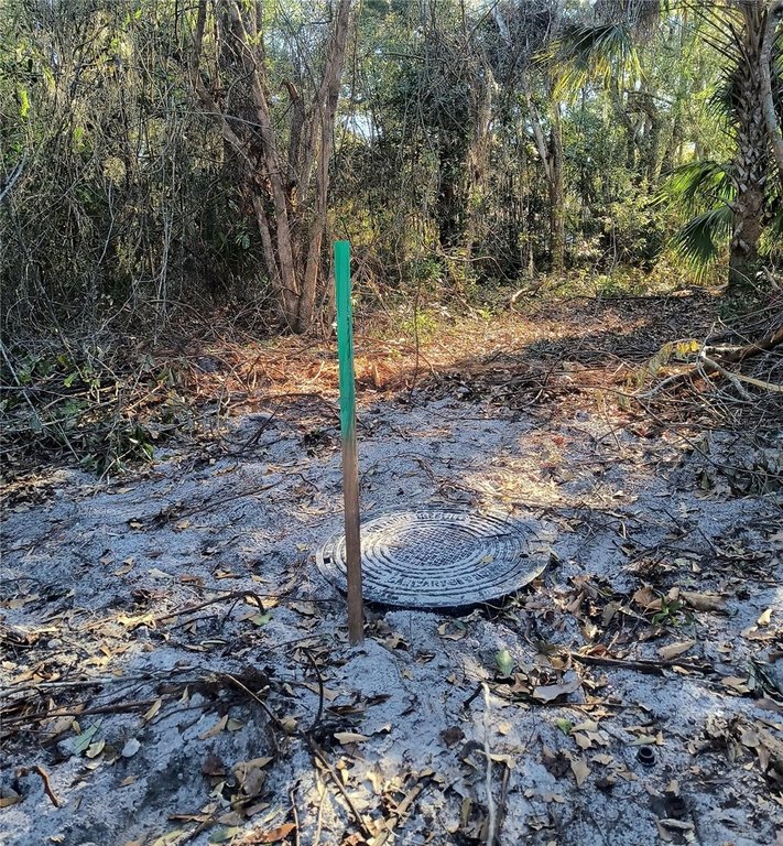 Picture 18