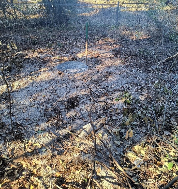 Picture 11
