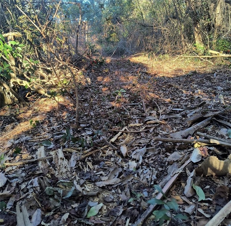 Picture 19